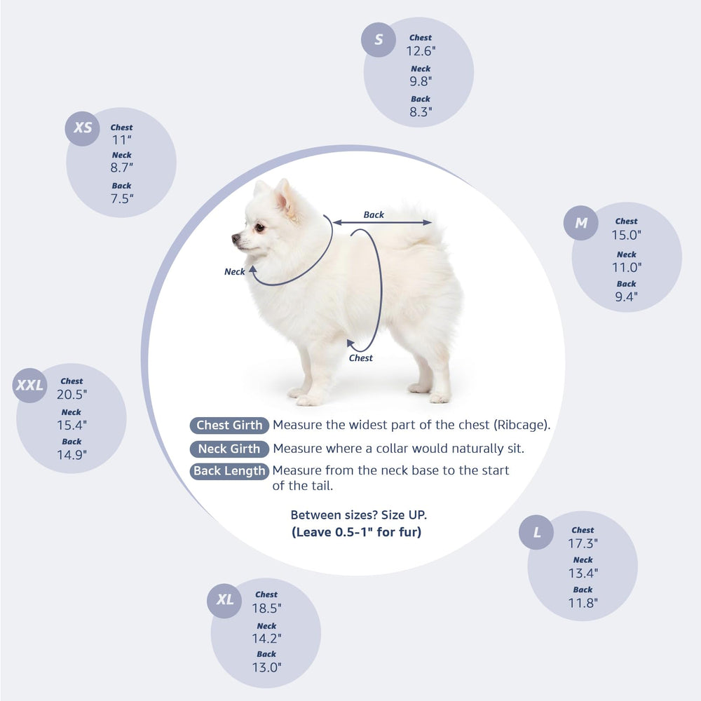 Pawstrip Veste Denim Chien Boutons Fermeture, facile à enfiler et retirer.