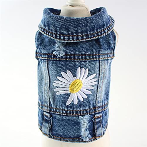 Pawstrip Veste Denim Chien Look festif pour printemps et été.