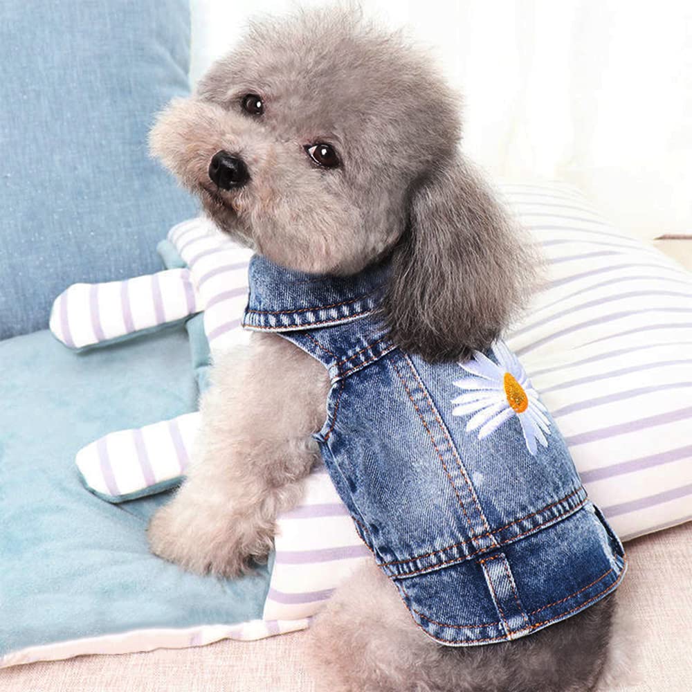 Pawstrip Veste Denim Chien Décontractée pour toutes les saisons.