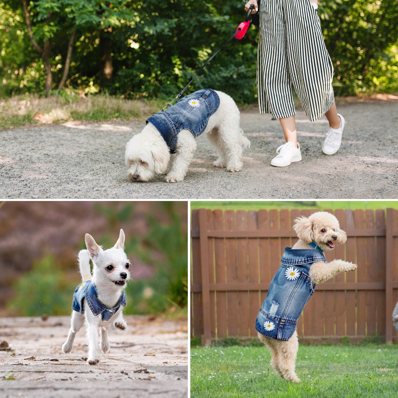 Pawstrip veste jean broderie daisy : détails soignés pour chien élégant.