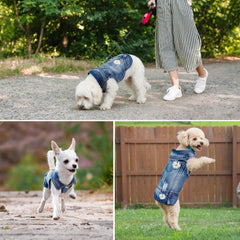 Pawstrip veste jean broderie daisy : détails soignés pour chien élégant.