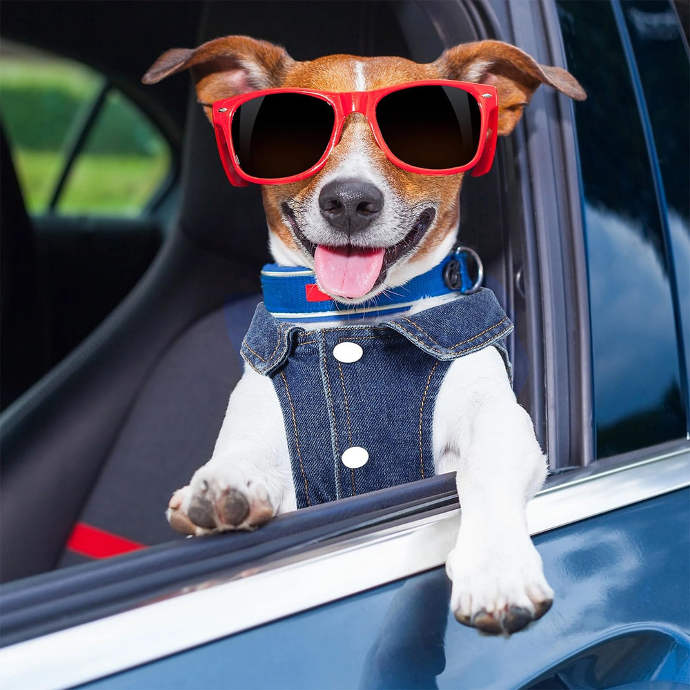 Veste Pawstrip lavable en machine, entretien simple pour chien.