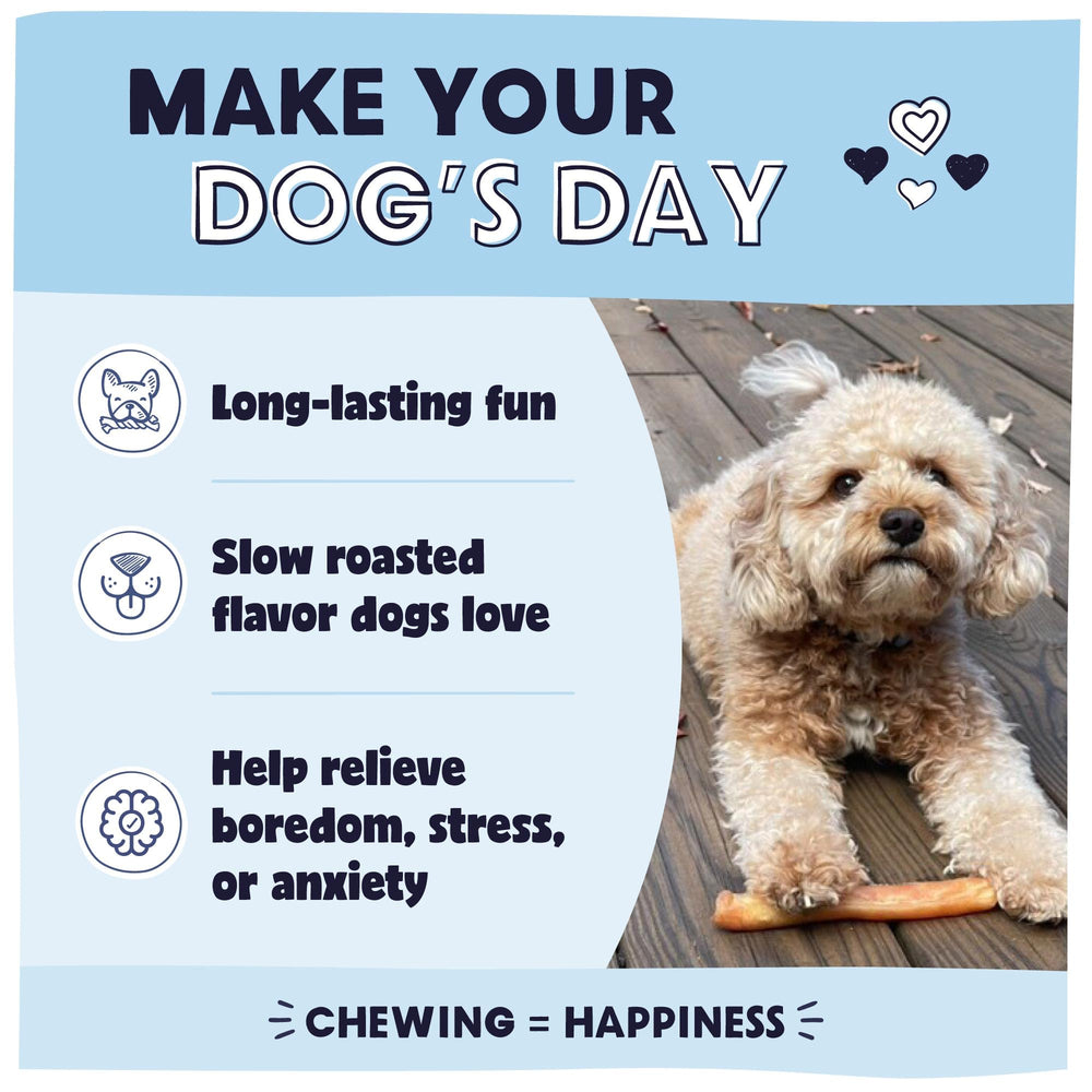 Pawstruck 2-en-1 anneau: forme conviviale pour mâcher et stimuler l’attention.