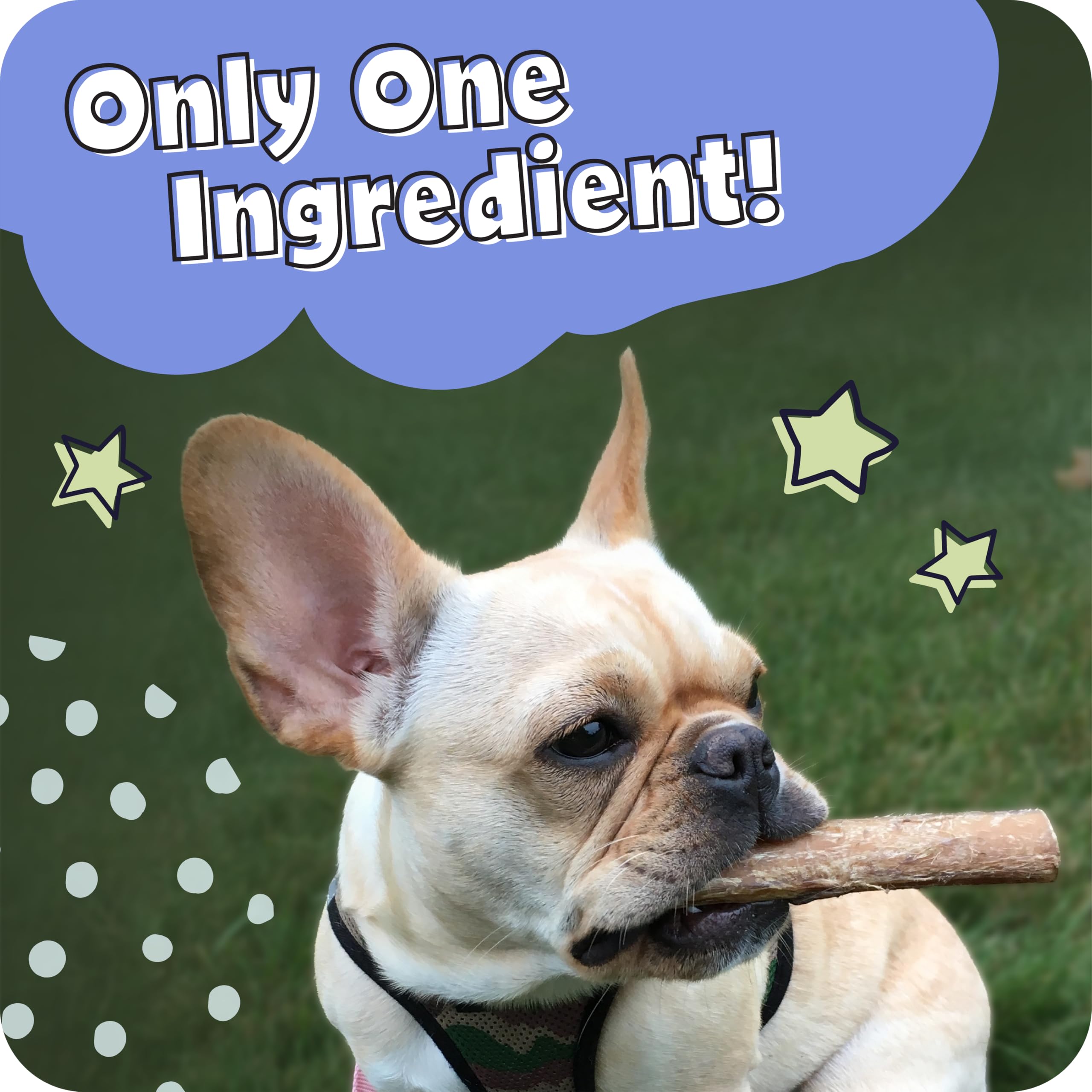 Pawstruck bâtonnets pizzle boeuf 12 pouces – format long pour chiens moyens et grands.
