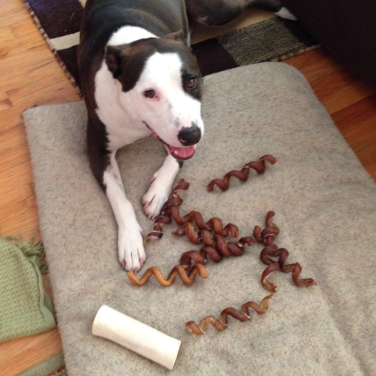 Pawstruck faible odeur, experience de mastication agreable