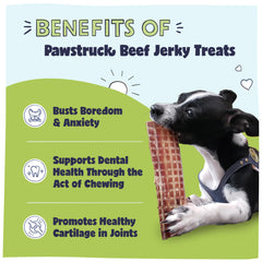 Pawstruck jerky sans conservateurs, ingrédients simples pour chien sensible.