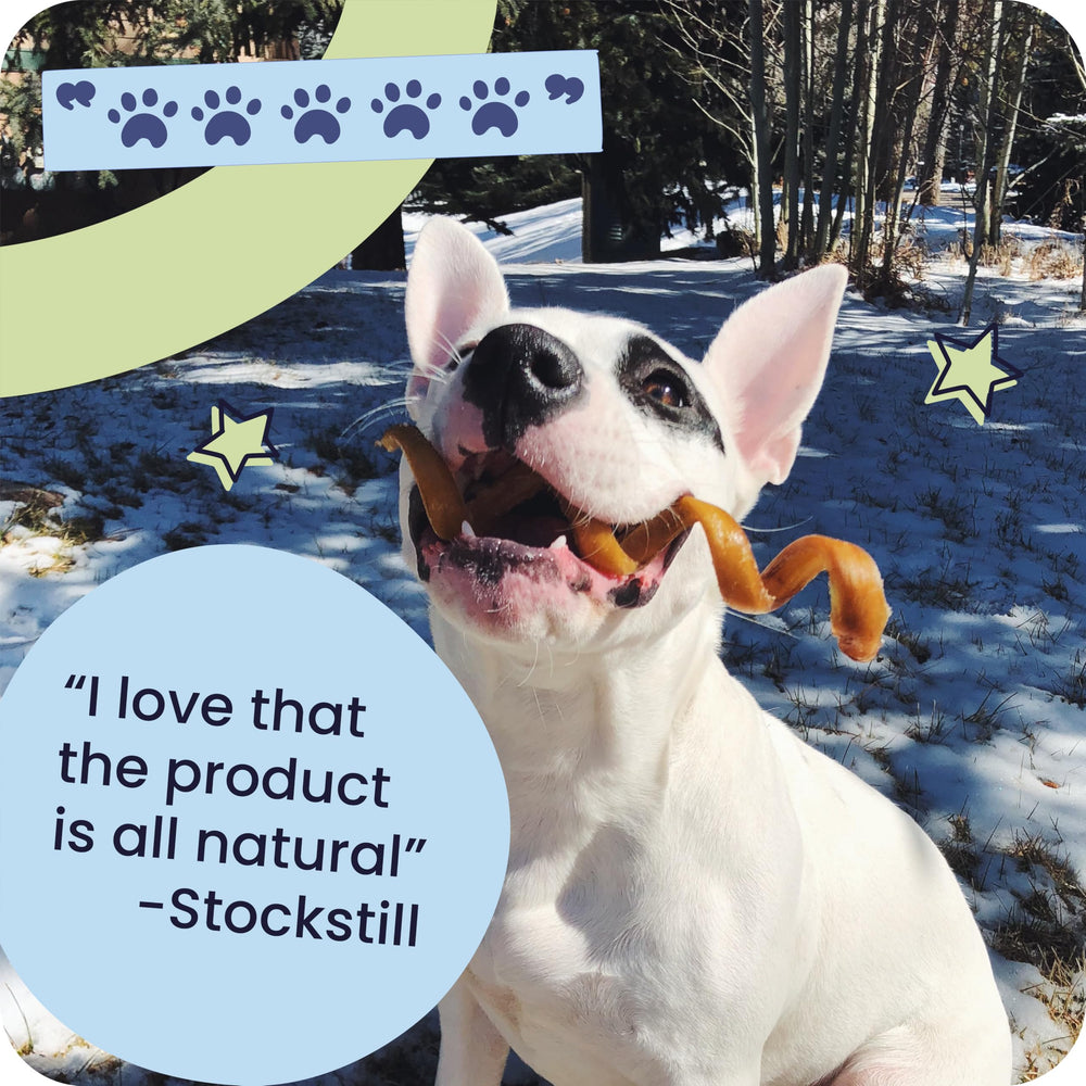 Pawstruck Naturel arôme naturel attractif pour chien