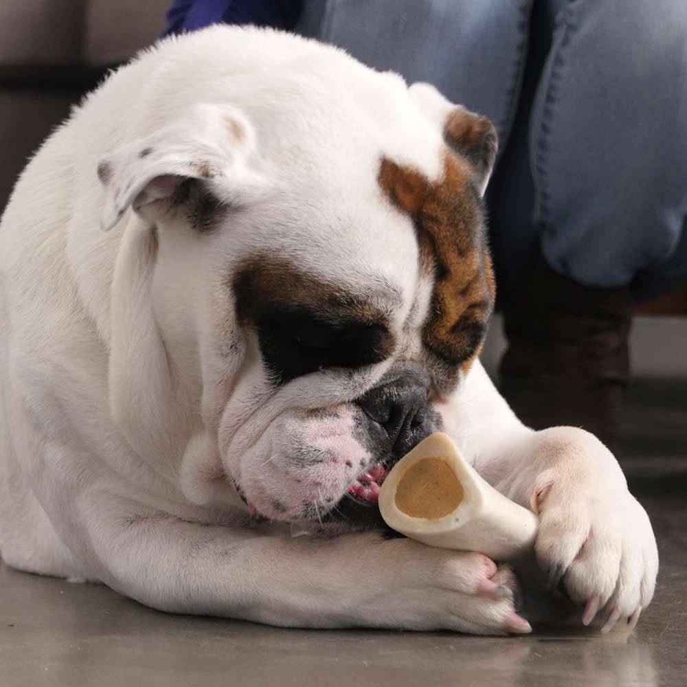 Pawstruck os remplis fromage bacon, 3 pouces, soutien potentiel à l'hygiène dentaire