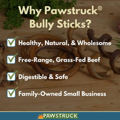 Pawstruck paquet de 25 sticks bully, pratique et economique