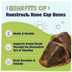 Pawstruck rotule boeuf, utilisation quotidienne pour occuper votre chien.