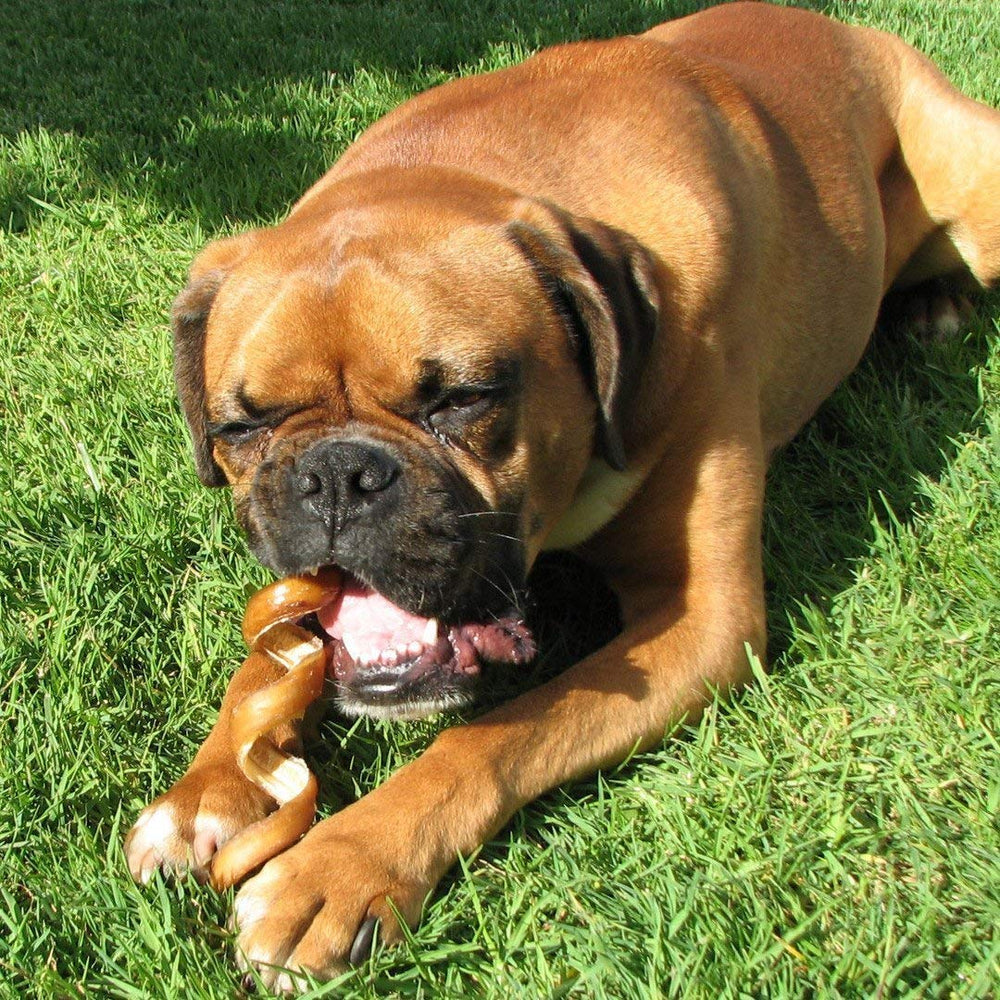 Pawstruck sans additifs chimiques, 100 % boeuf pur