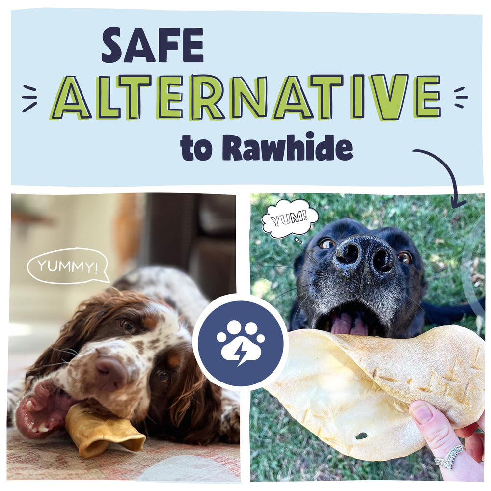 Pawstruck – Sante dentaire boeuf : aide à la mastication et au nettoyage