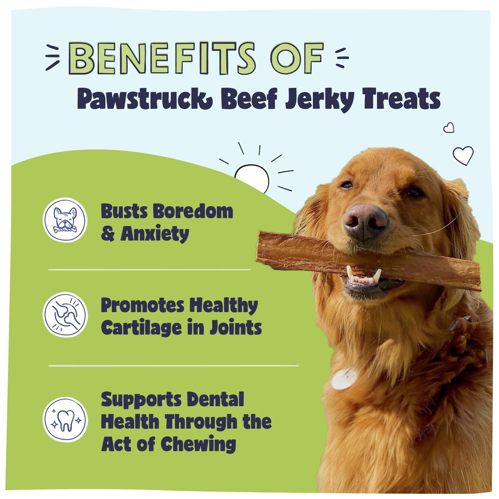 Pawstruck soutien hanches et articulations, jerky long pour mastication.