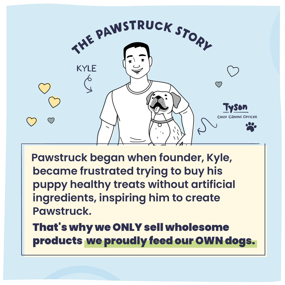 Usage quotidien avec Pawstruck jerky, friandise durable pour chiens exigeants.