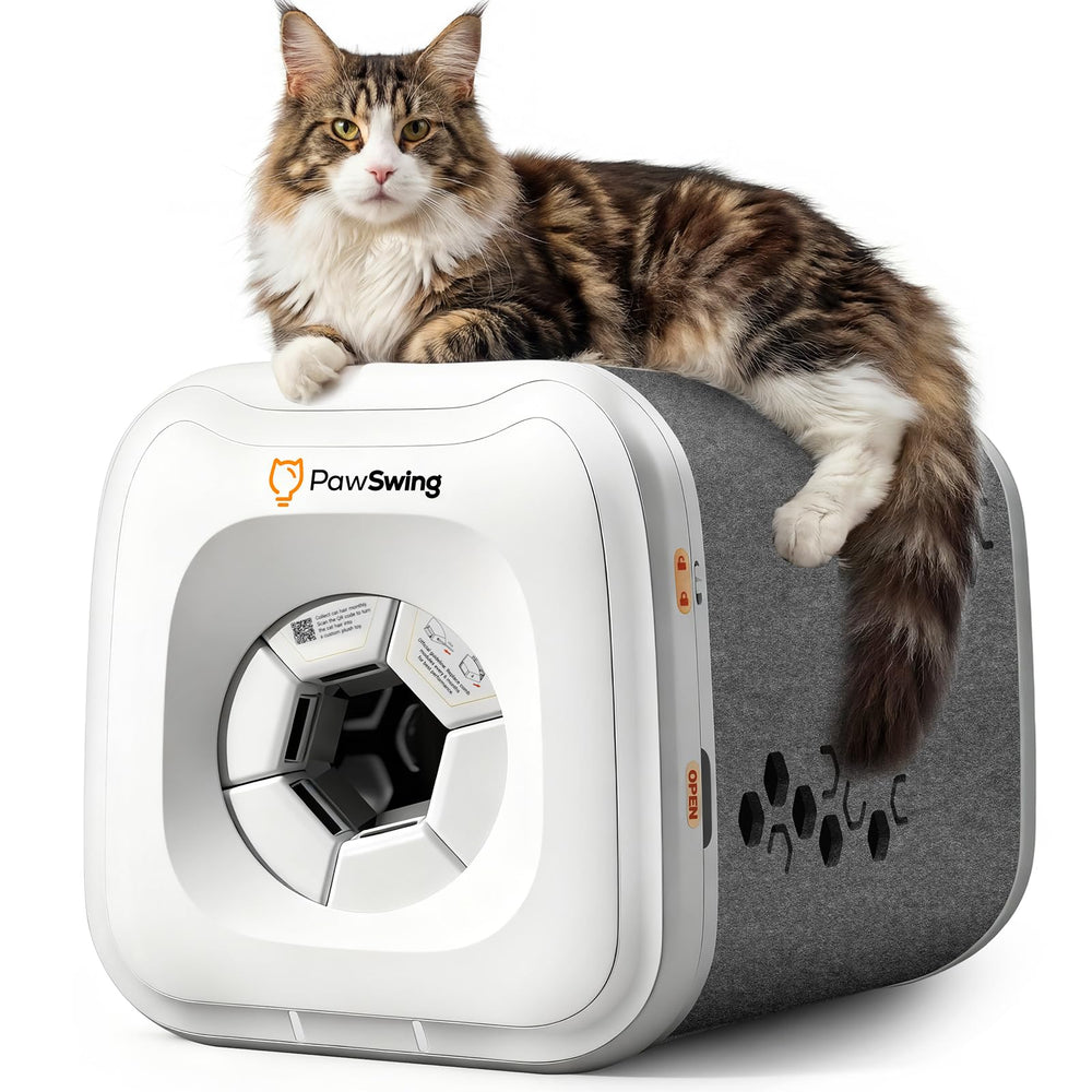 PawSwing en action sur chat, aide à retirer les poils sans effort.