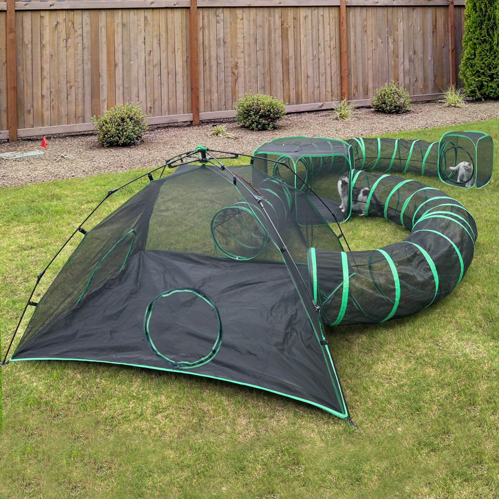 Pawtenda tentes chat extérieur: espace sûr pour exploration en plein air