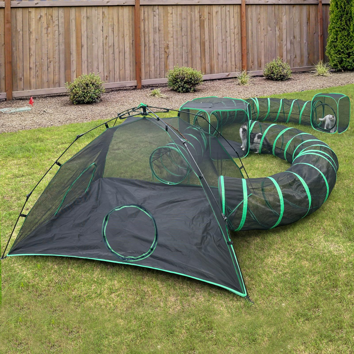 Pawtenda tentes chat extérieur: espace sûr pour exploration en plein air