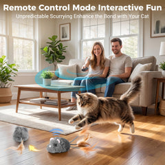 Pawthquake souris à roues détachables pour entretien et sécurité.