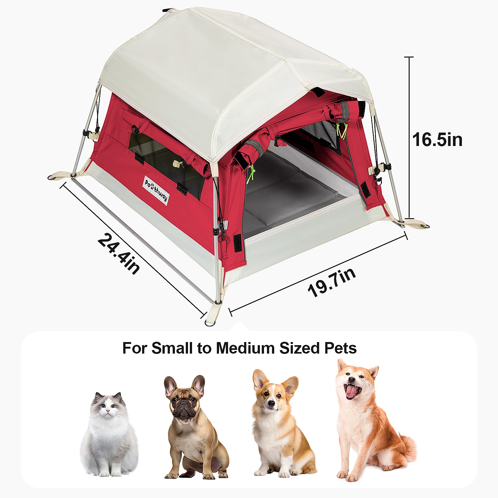 Pawthway Tente chien porte zip double assure accès facile.