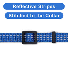 Pawtitas collier bleu avec clochette amovible pour repérage
