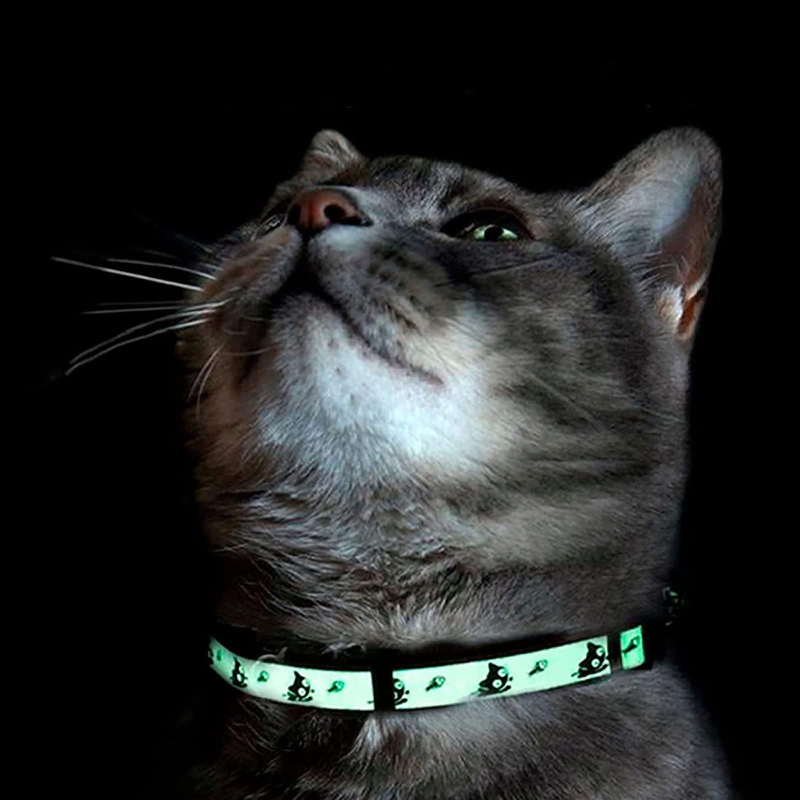 Pawtitas collier haute visibilite: repérage facile en extérieur.