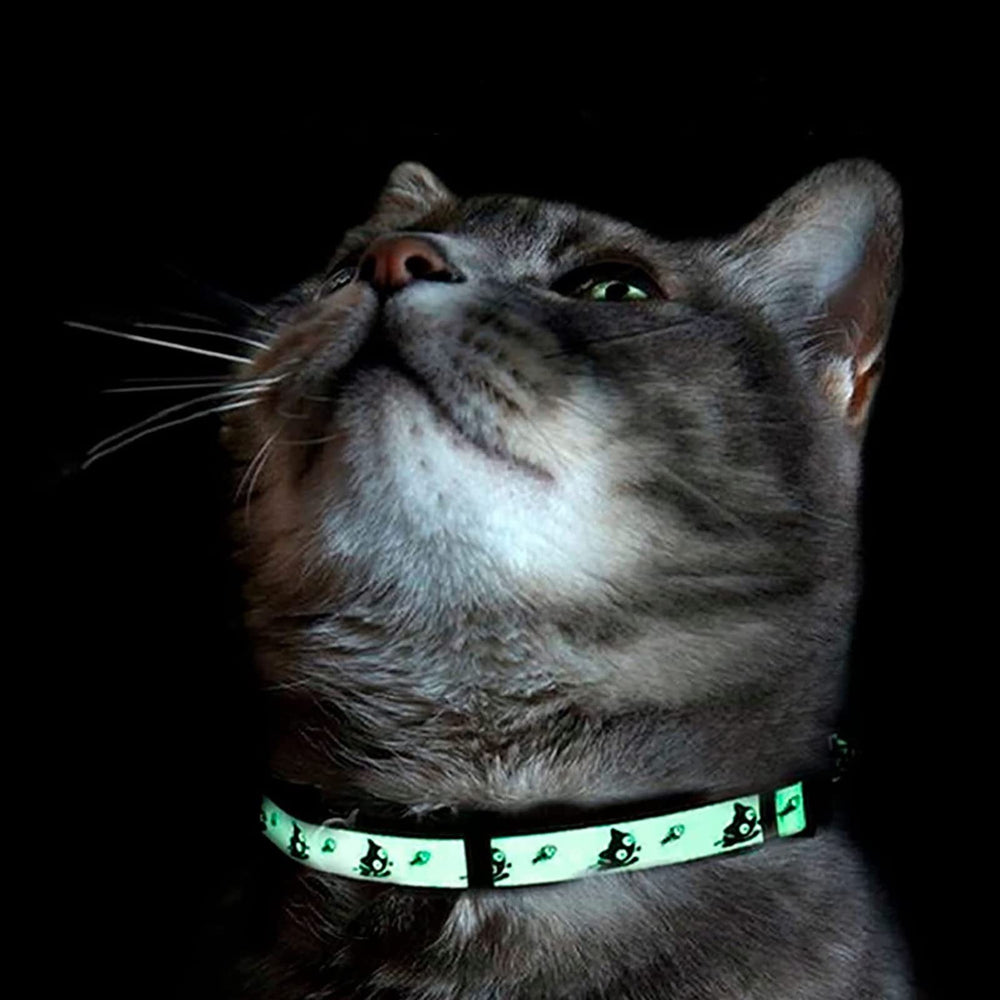 Pawtitas collier haute visibilite: repérage facile en extérieur.