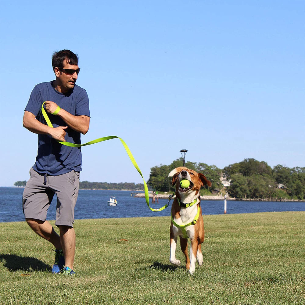 Utilisation polyvalente du chiot au chien âgé, confort assuré.