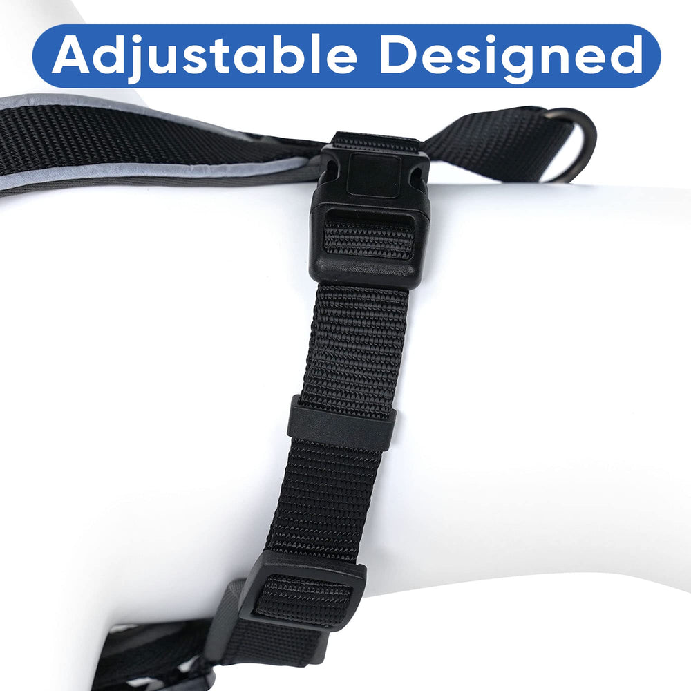 Harnais Pawtitas sécurité et visibilité accrue en faible luminosité.