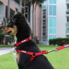 Pawtitas Harnais nylon résistant, sécurité et confort lors des promenades