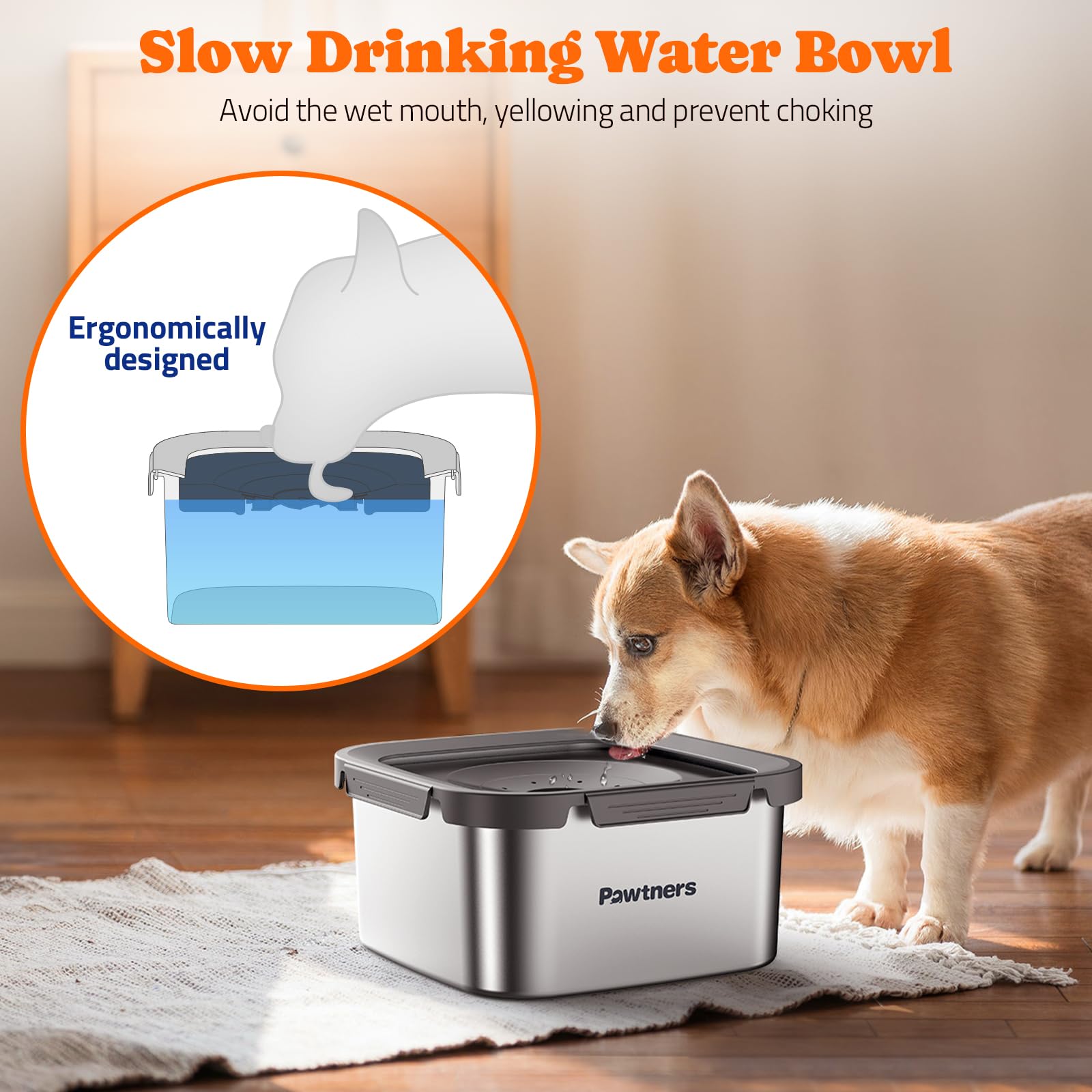 Pawtners bol eau chien capacite-4-5l, moins de remplissages.