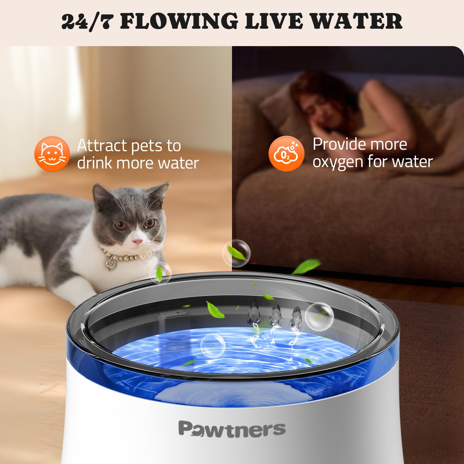Pawtners design épuré fontaine : intégration harmonieuse dans tout intérieur.