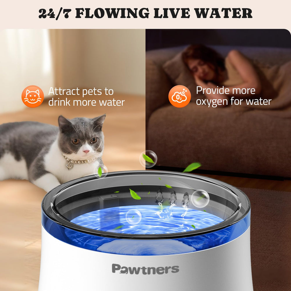 Pawtners design épuré fontaine : intégration harmonieuse dans tout intérieur.