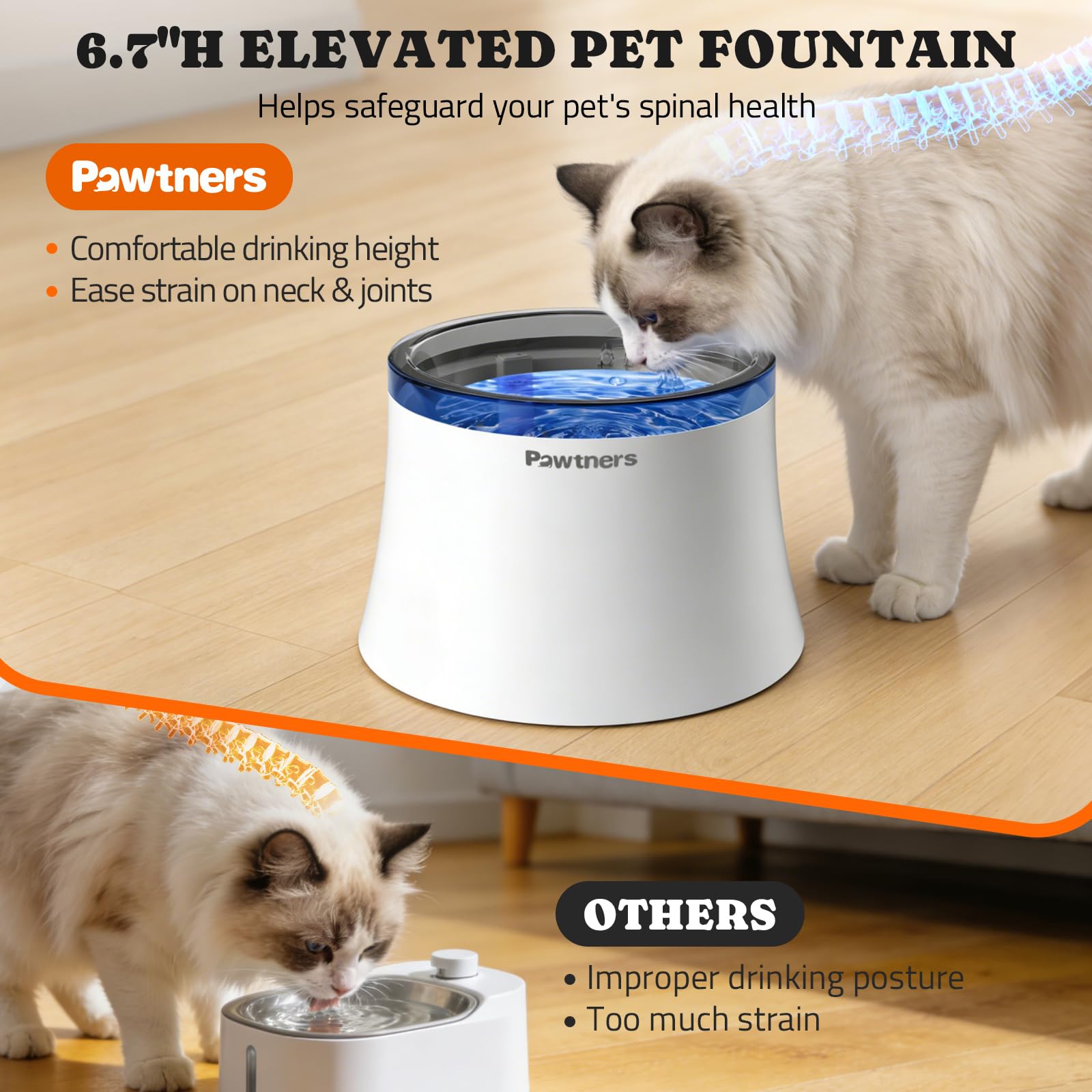 Pawtners filtration vortex eau : eau plus propre grâce à une filtration performante.