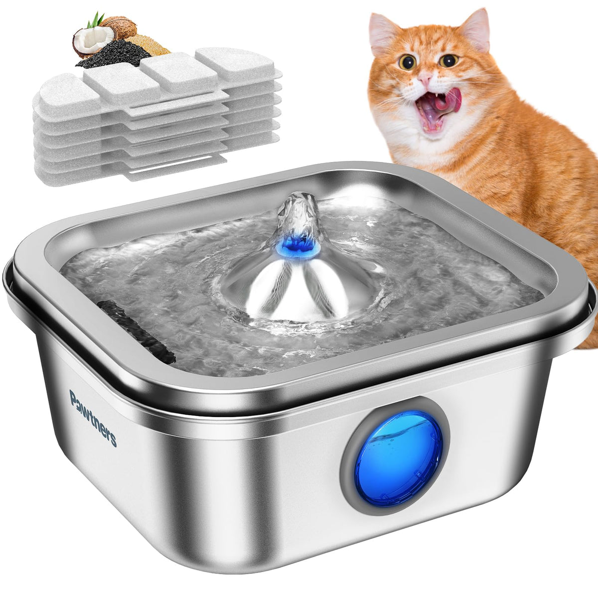 Pawtners fontaine chat en acier inox 304 – robuste et sans BPA.