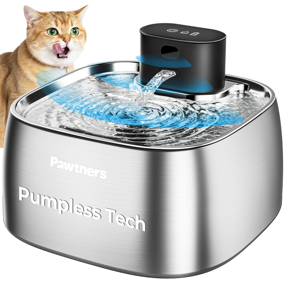 Fontaine Pawtners sans pompe en acier inoxydable, boisson sûre pour animaux.