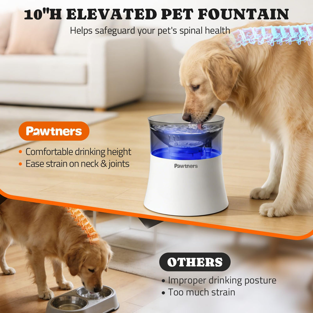 Pawtners fontaine d'eau grand espace, anti-éclaboussures pour maison sans fouillis.