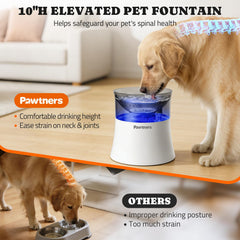 Pawtners fontaine d'eau grand espace, anti-éclaboussures pour maison sans fouillis.