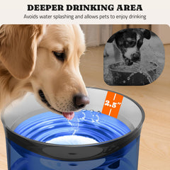 Pawtners fontaine d'eau élevée à 10 pouces, confort pour chiens moyens et grands.