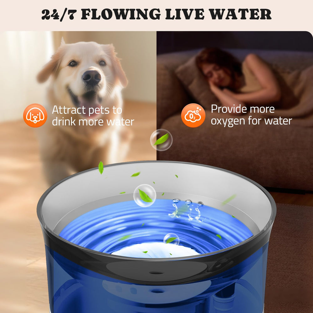 Pawtners fontaine d'eau pour usage domestique quotidien, sans débordement.