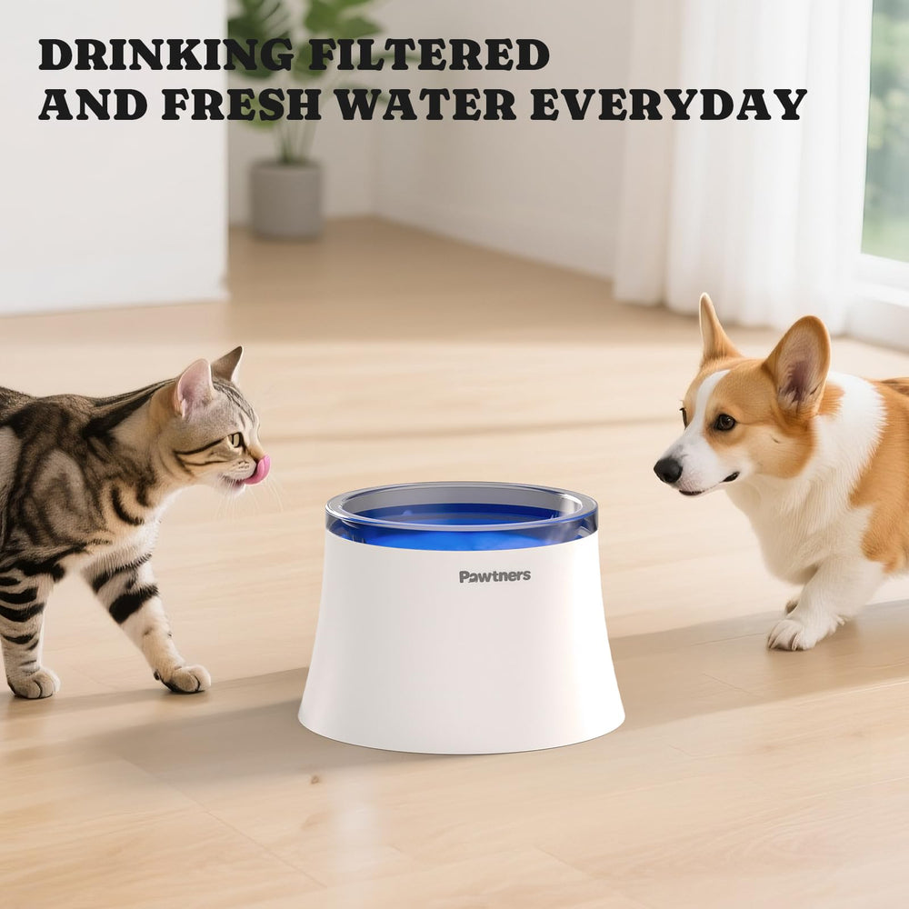 Pawtners kit filtration – 8 filtres et 4 éponges pour usage pérenne.