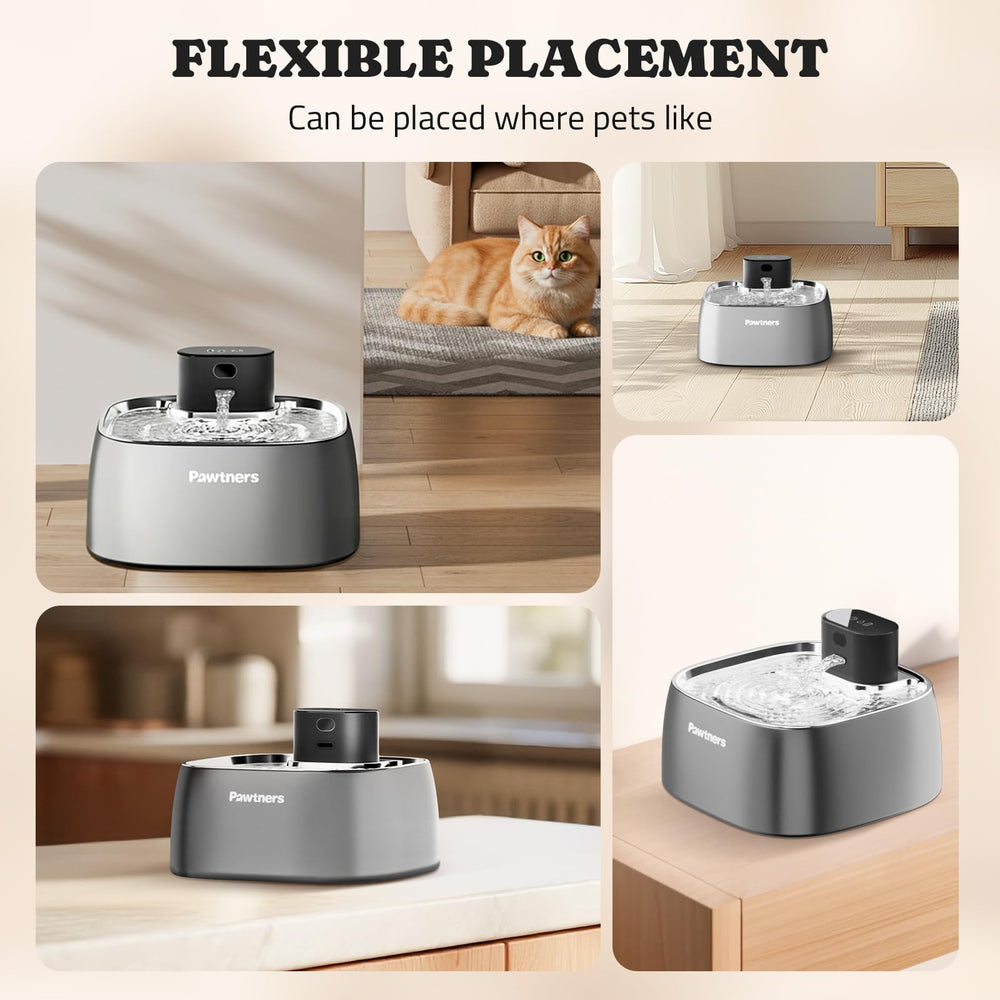 Utilisation en voyage avec fontaine Pawtners sans fil.