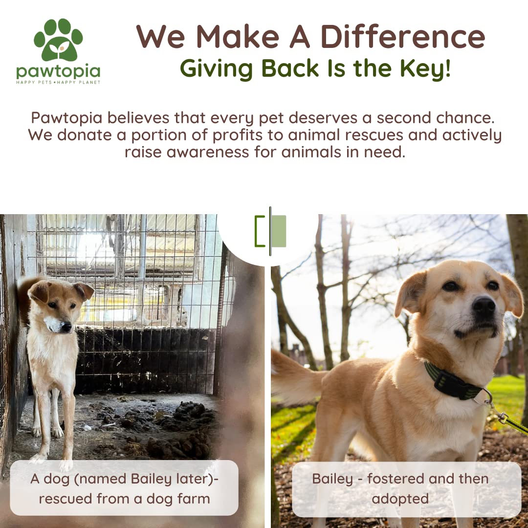 Pawtopia reverse des profits à des associations de secours pour animaux.