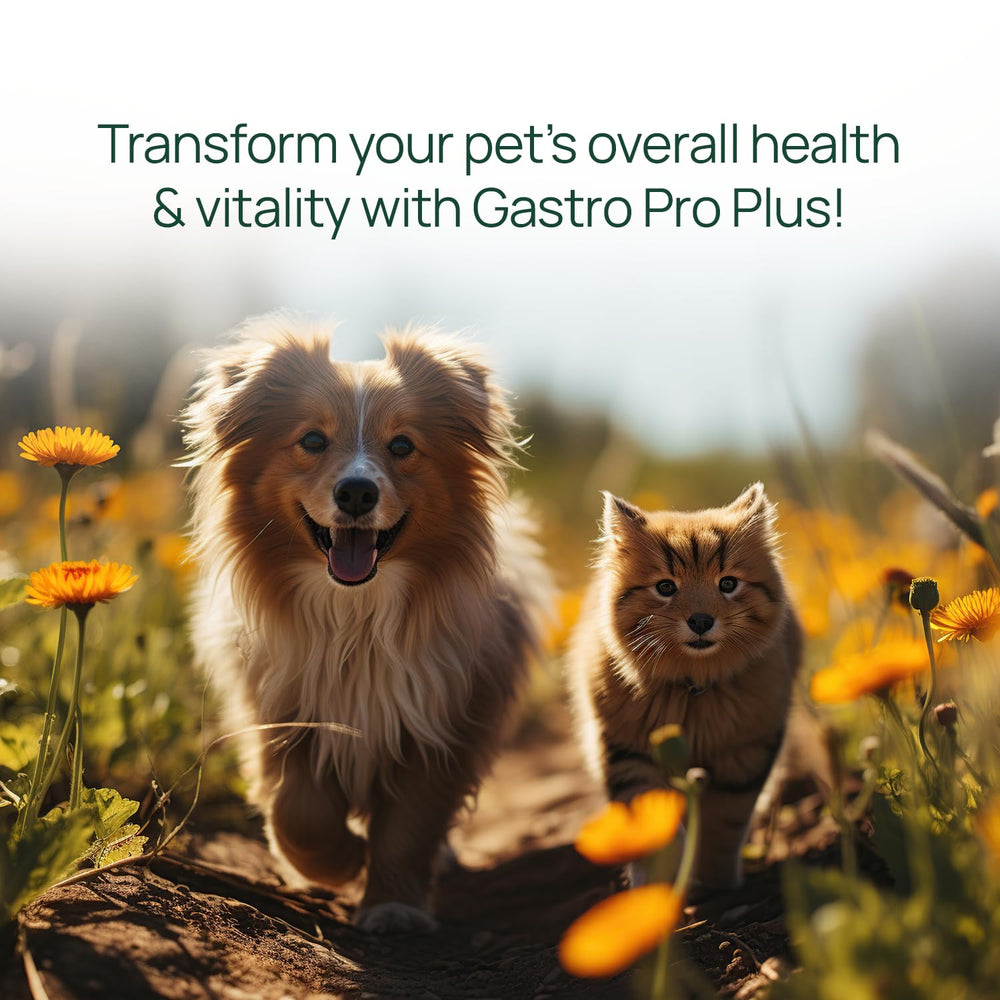 Animaux heureux grâce au soutien digestif de Gastro Pro Plus.