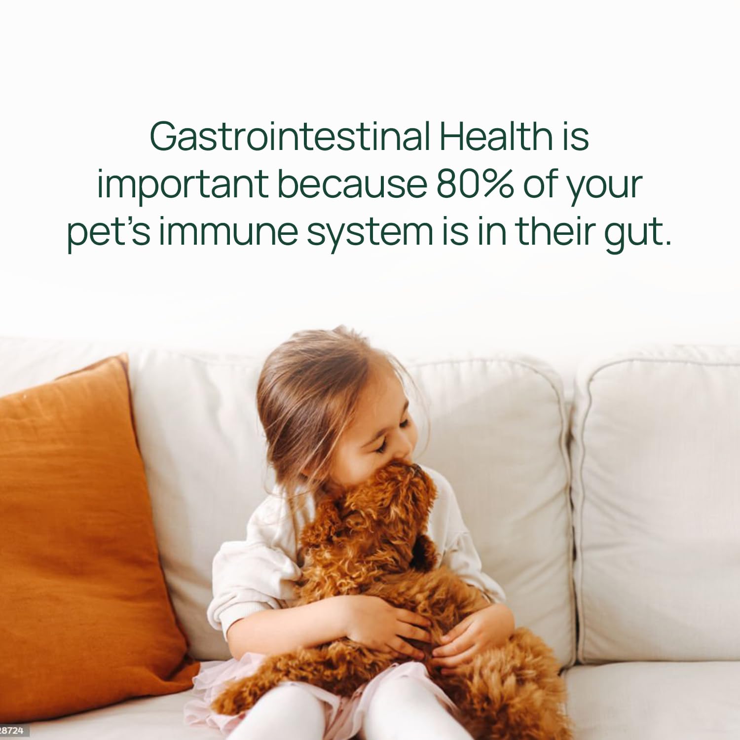 Probiotiques et enzymes pour digestion améliorée et confort intestinal.