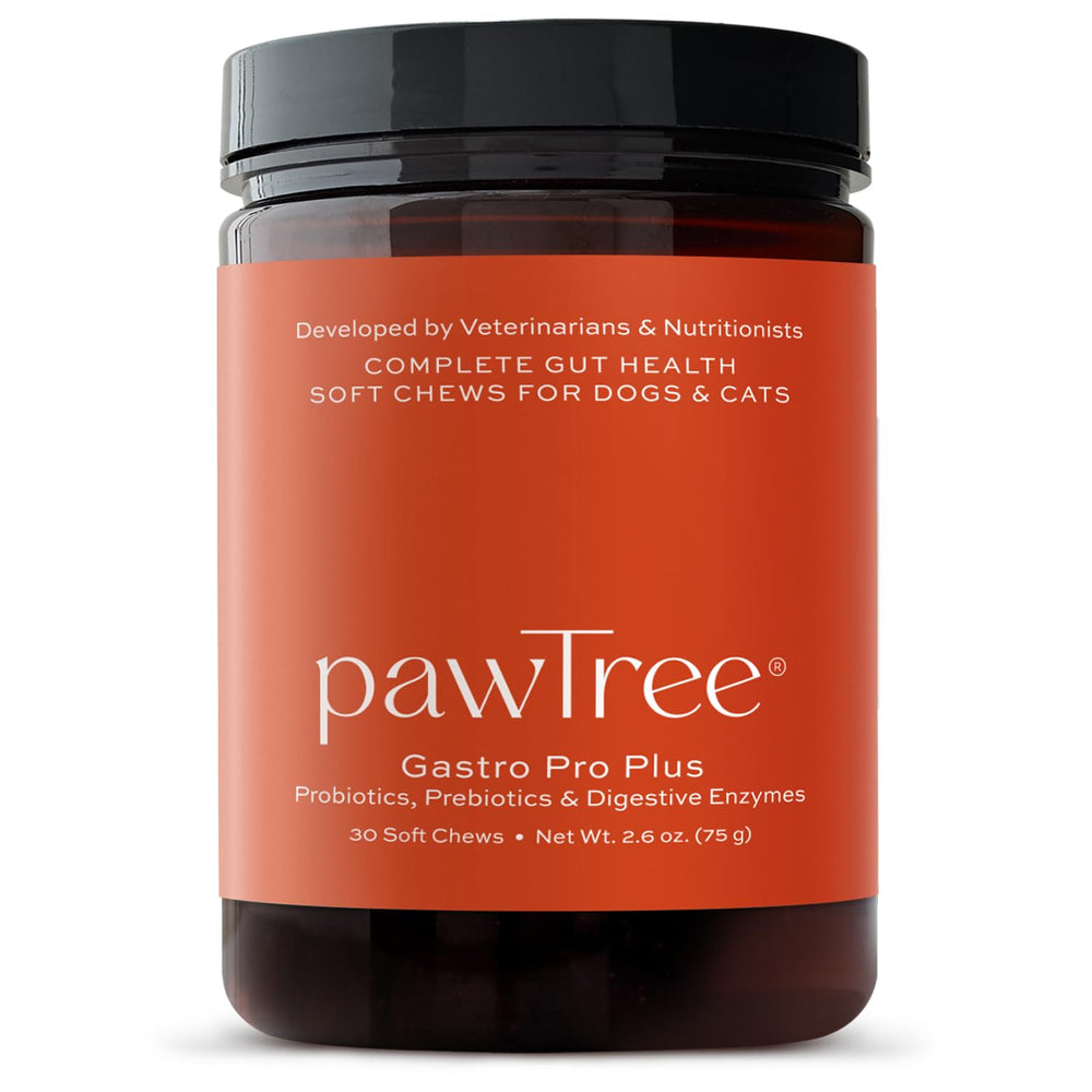 pawTree Gastro Pro Plus — bouteille pratique, soutien potentiel à la digestion des chiens et chats.