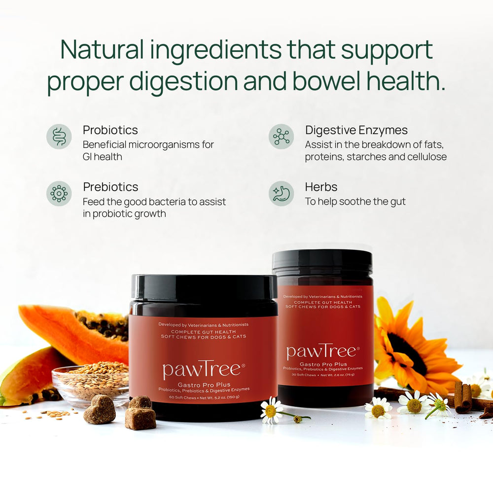 pawTree Gastro Pro Plus — comprimés faciles à ajouter à la nourriture, soutien digestif possible.