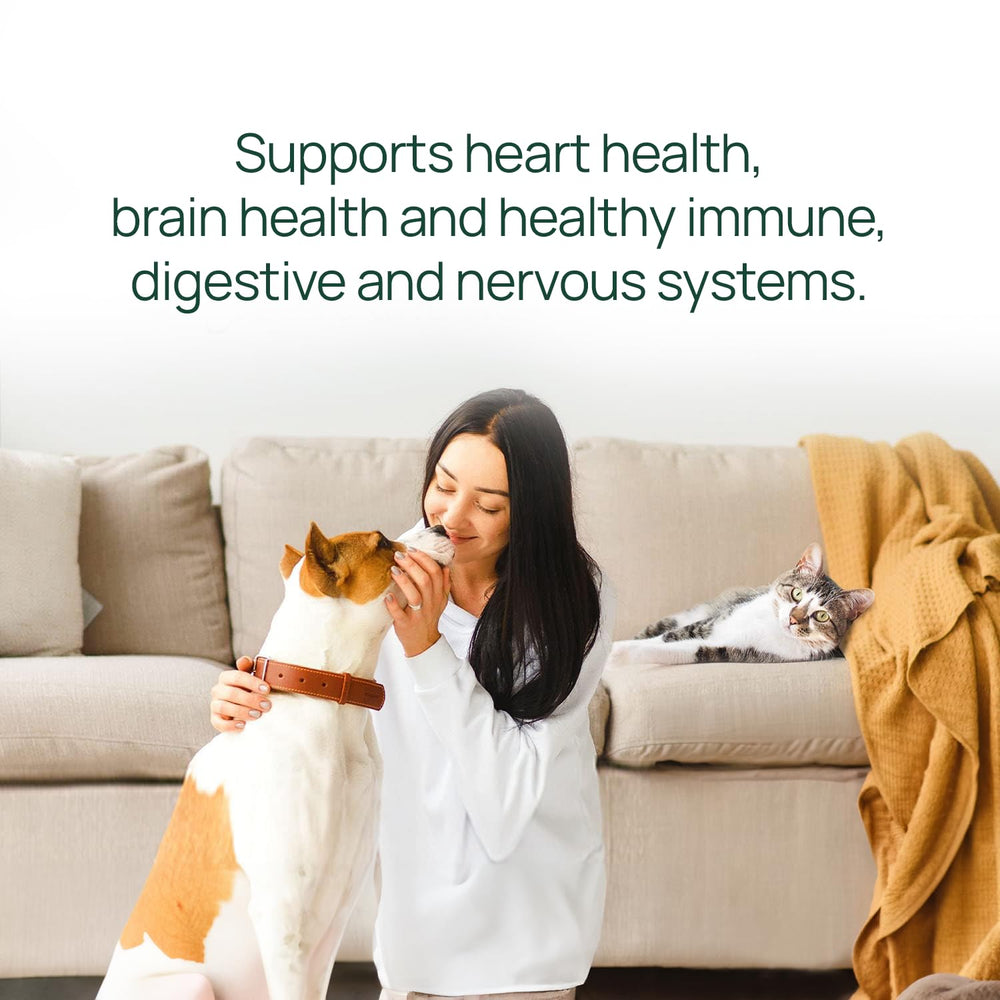 Soutien immunitaire pawTree huile saumon, santé générale des animaux.
