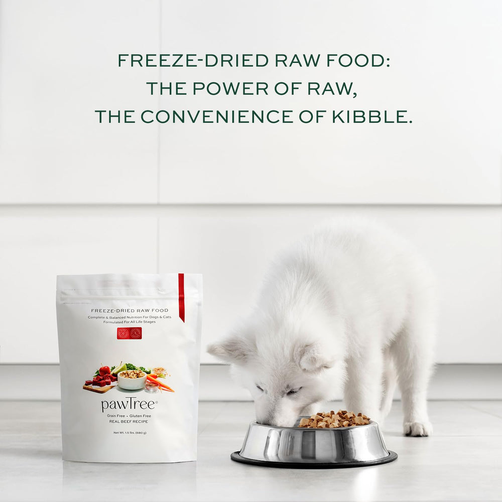 Ingrédients super-aliments PawTree Boeuf Séché, soutien nutritionnel