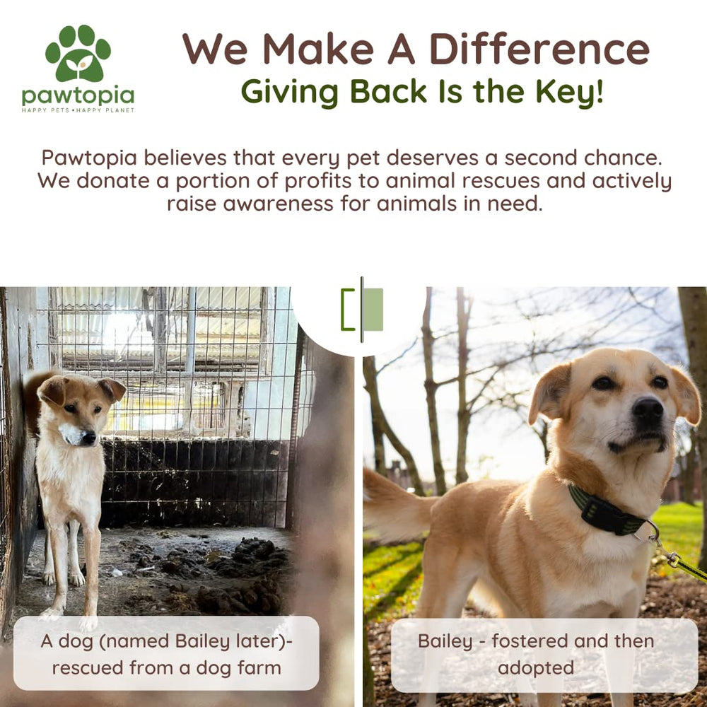 Soutien des associations et sauvetage d’animaux grâce à Pawtria.