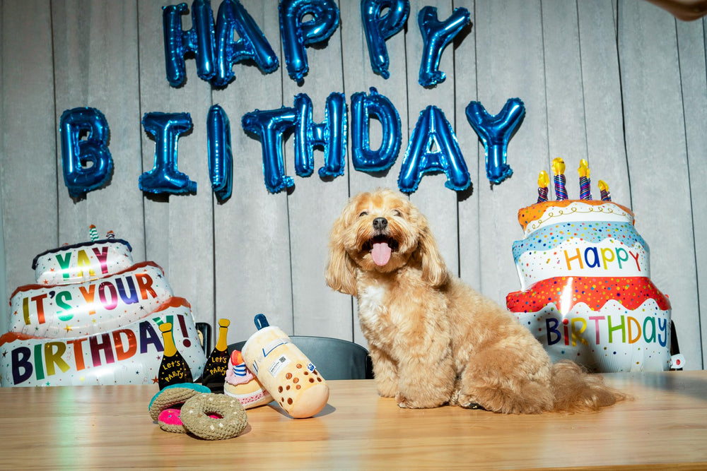 Jouet Pawty en peluche rose, rassurant et durable pour les jeux quotidiens.
